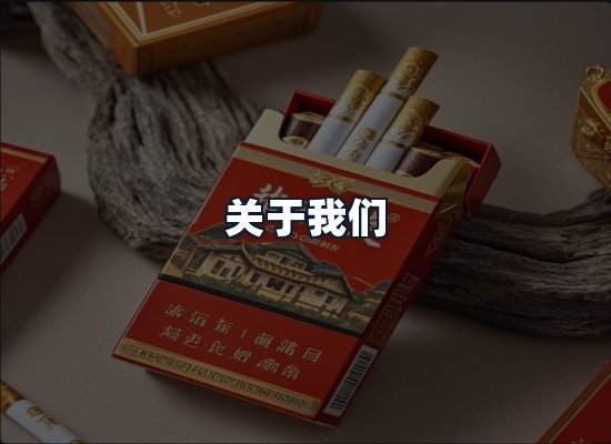 关于我们